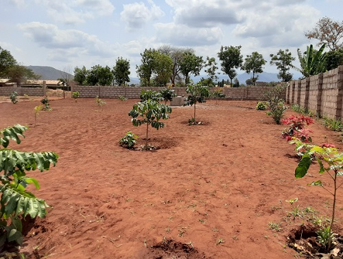 Njiapanda well
